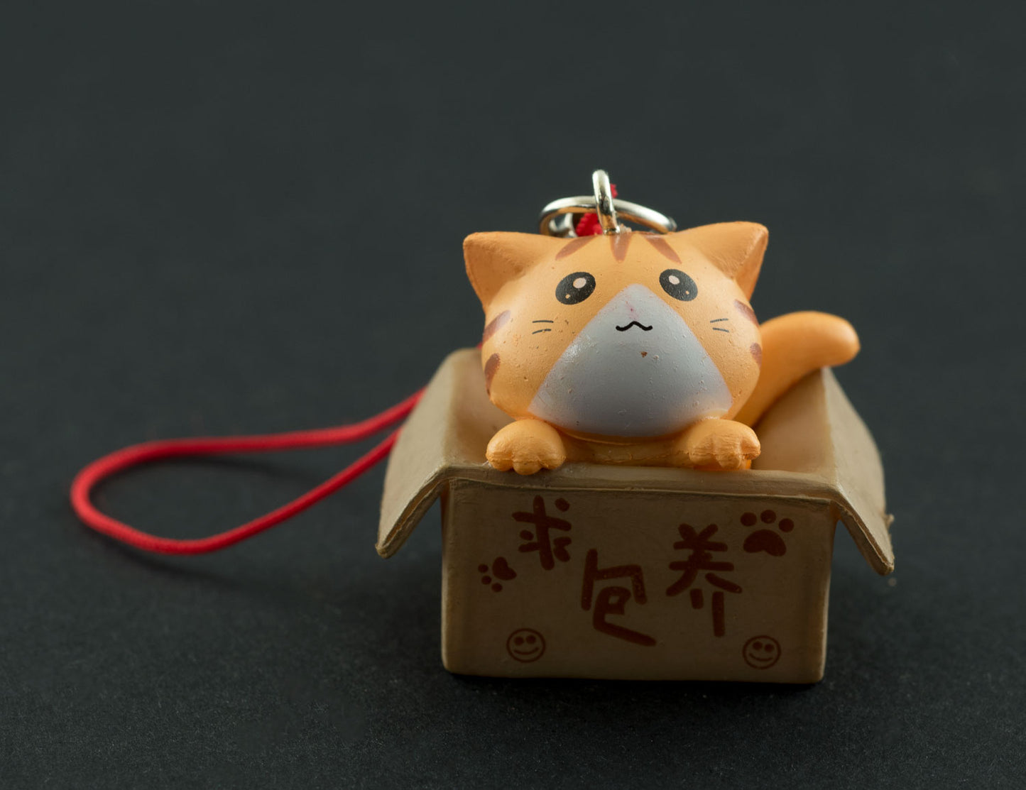Charm Chat Roux dans son Carton – Accessoire Kawaii Japonais