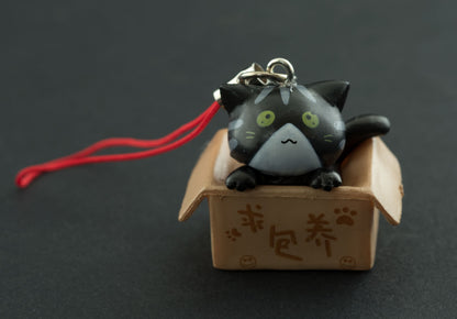 Charm Chat Noir dans son Carton – Accessoire Kawaii Japonais