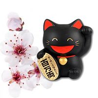 Tirelire en forme de chat porte-bonheur - Grande tirelire japonaise - En  céramique - Pour ouvrir une boutique, une pendaison de crémaillère - Cadeau